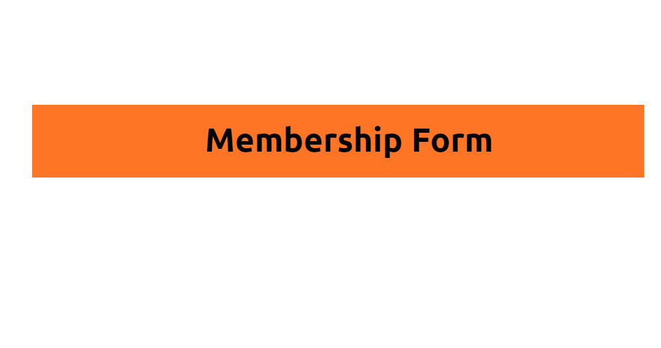 Form header (after intro)