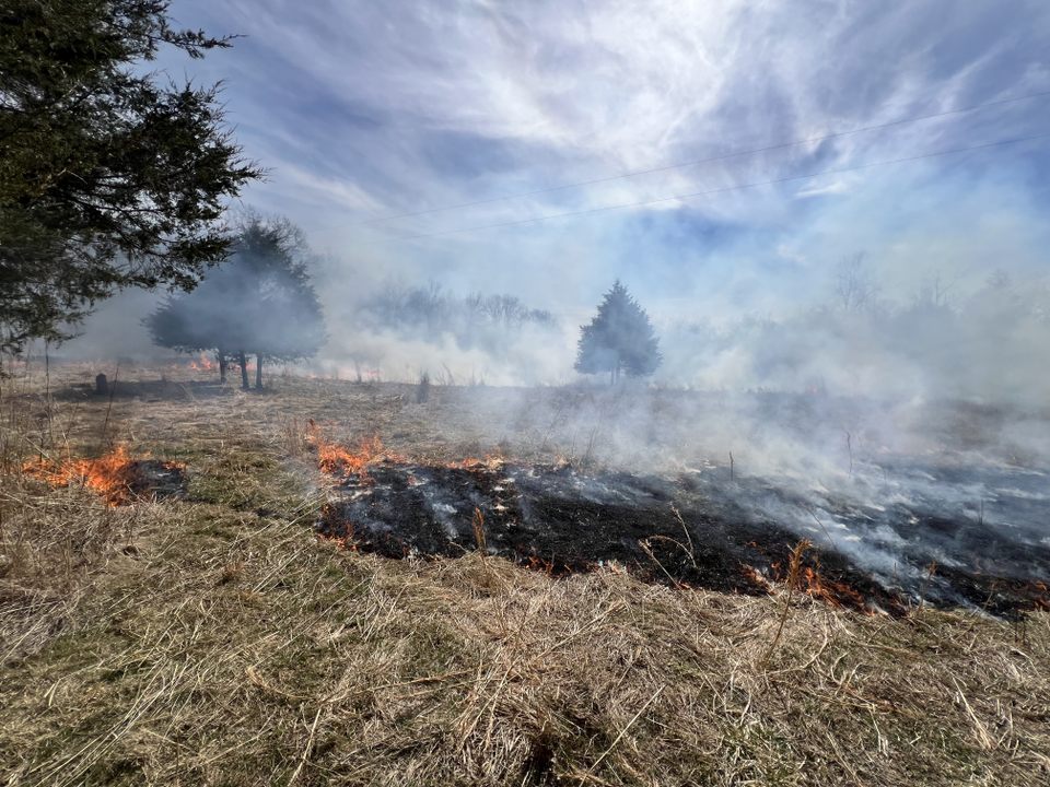 grassland burn with dreamy skyscape